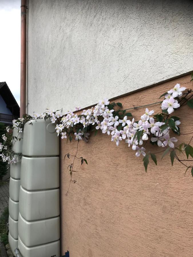 Appart Les Cerises Entre Strasbourg Et Haguenau Bischwiller المظهر الخارجي الصورة