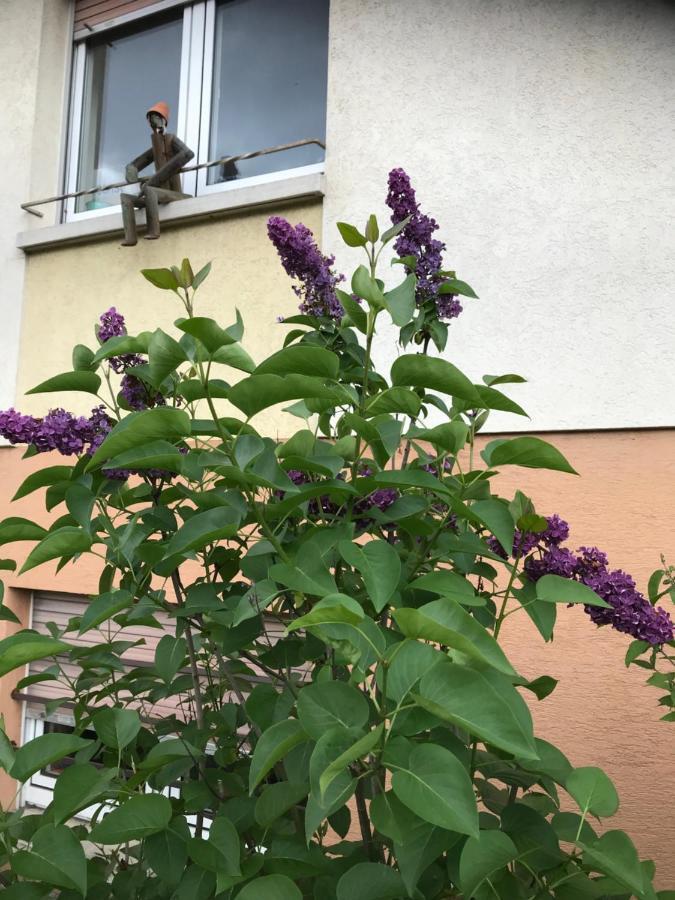 Appart Les Cerises Entre Strasbourg Et Haguenau Bischwiller المظهر الخارجي الصورة